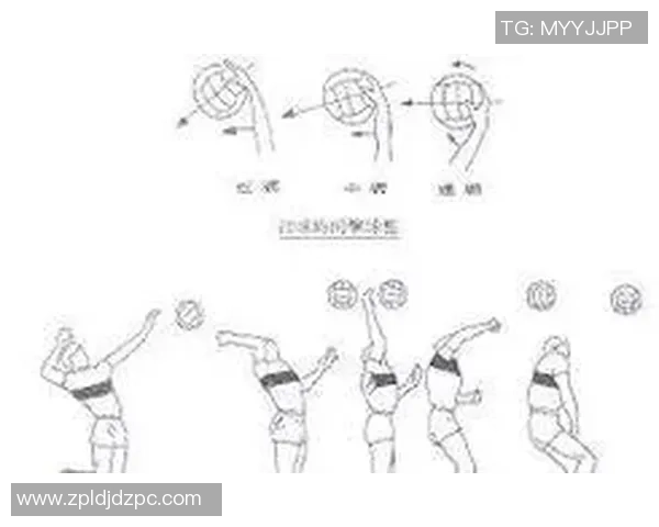 杭州排球队盯防战术解析与深度剖析排球比赛中的关键策略